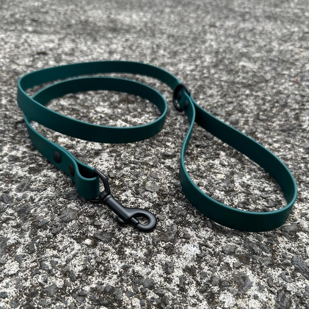 Last State Leather - 4ft Biothane Leash - Hunter Green