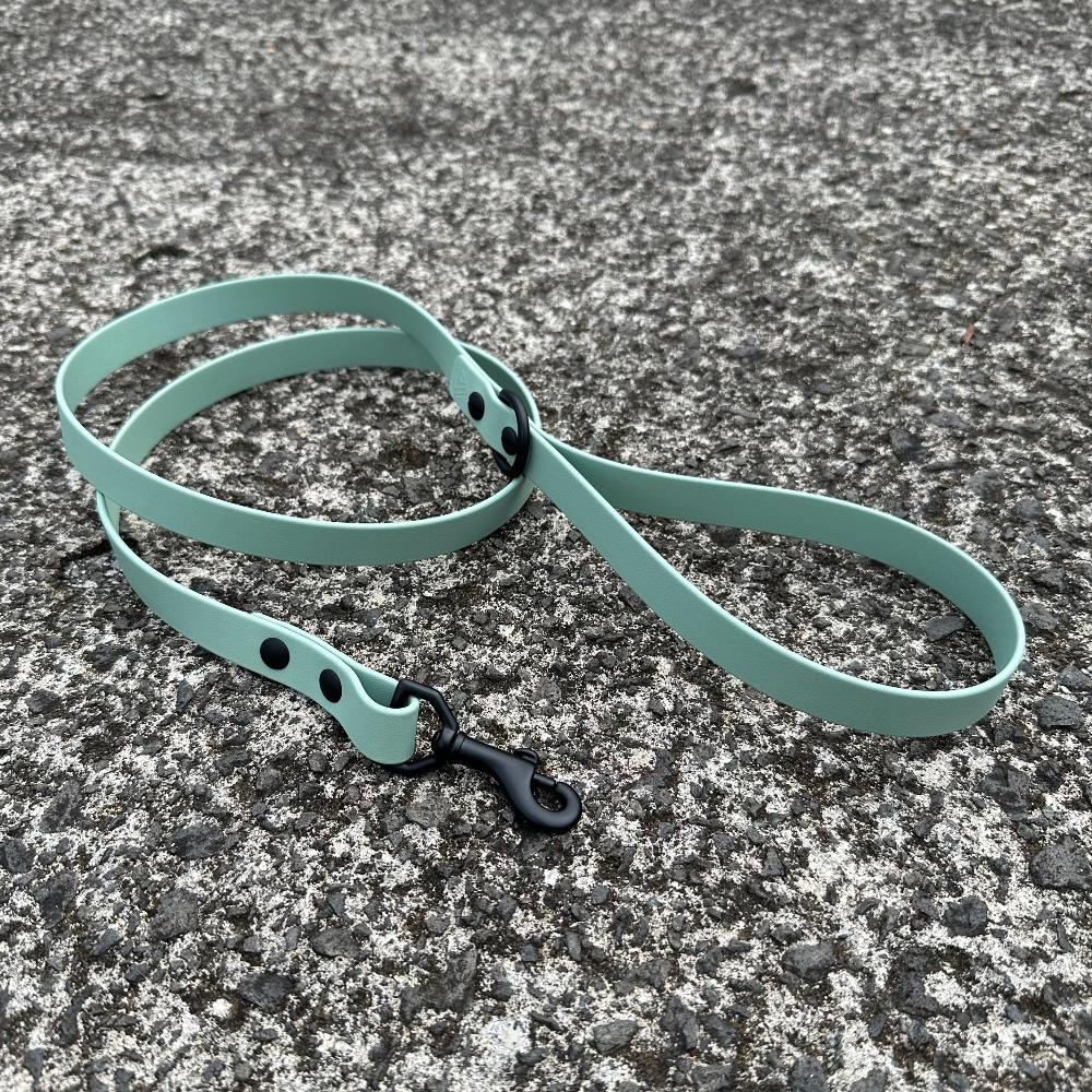 Last State Leather - 4ft Biothane Leash - Sage