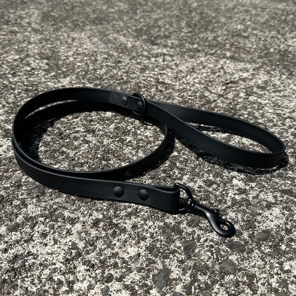 Last State Leather - 4ft Biothane Leash - Black