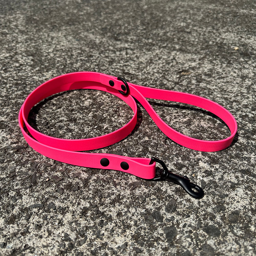 Last State Leather - 4ft Biothane Leash - Hot Pink