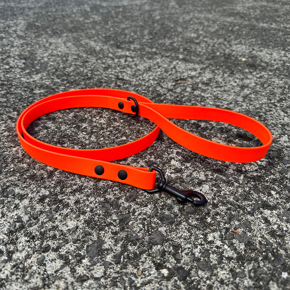 4FT BIOTHANE LEASH Hunter Orange